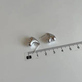 TweeDorbs Heart Shape Earrings